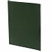 Ежедневник Flat Light, недатированный, зеленый