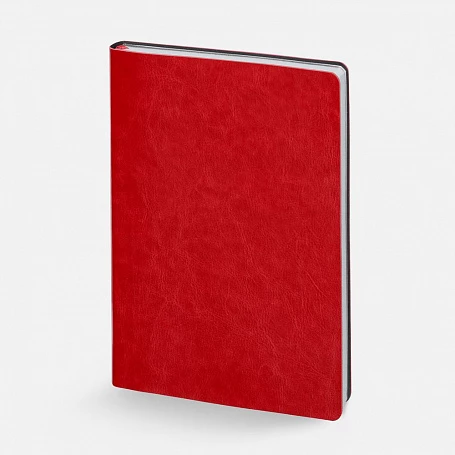 Набор Nebraska Flex, красный с серебристым