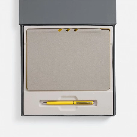 Набор Flexpen Grey, желтый