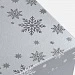 Коробка Wintry, серебристая