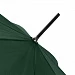 Зонт-трость Dublin, зеленый