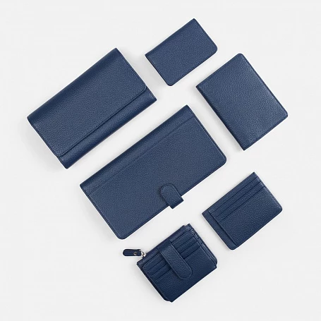 Дорожный органайзер Unison, синий