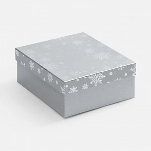 Коробка Wintry, серебристая