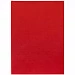 Ежедневник Flat Light, недатированный, красный