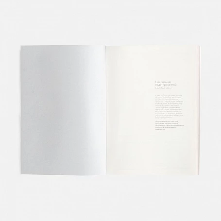 Ежедневник Repute, недатированный, красный
