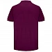 Рубашка поло унисекс Pacific, фиолетовая (сливовая)