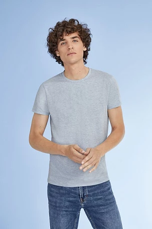 Футболка мужская Regent Fit 150, темно-серая