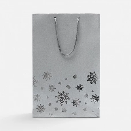 Пакет Wintry, серебристый