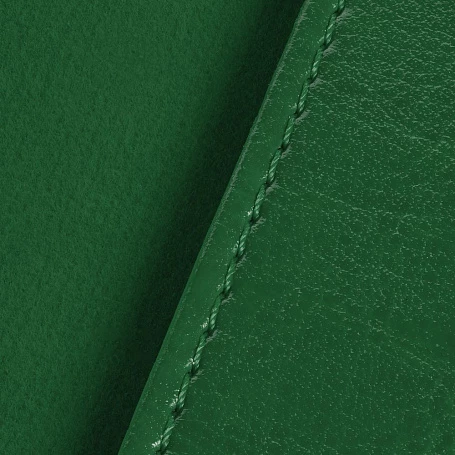 Обложка для паспорта Nebraska, зеленая